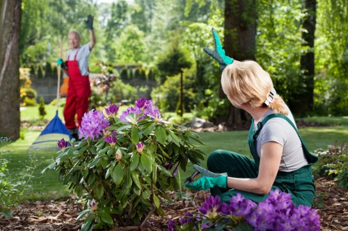 Illustration of accessible gardening services in Little Ilford