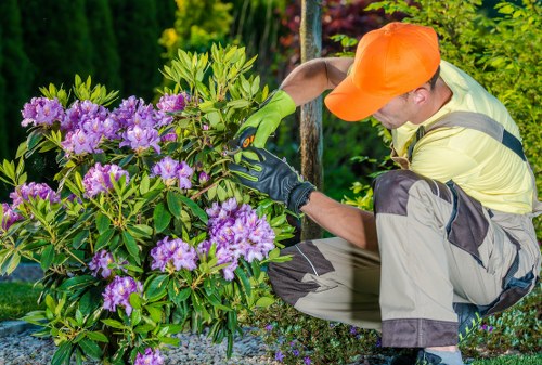 Image representing Gardeners Little Ilford modern slavery commitment