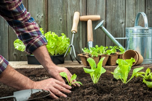 Seasonal lawn treatment and mowing in Little Ilford garden