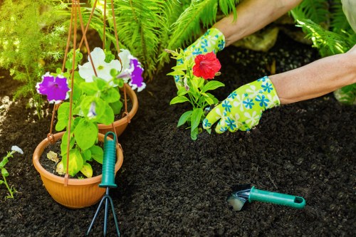 Careful hedge cutting for healthy garden growth in Little Ilford