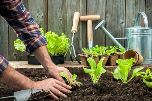 Gardeners following safe working practices with tools and protective gear