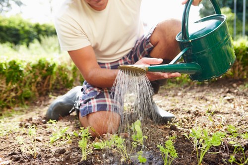 Well-kept green lawn in Little Ilford after professional care