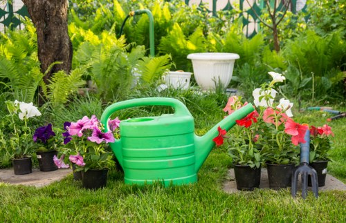 Final image representing long-term garden improvement by Gardeners Little Ilford