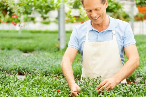Seasonal gardening services in Little Ilford for attractive outdoor spaces