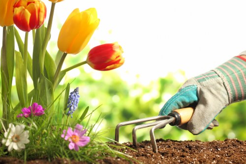 Low-maintenance garden design for a Little Ilford home