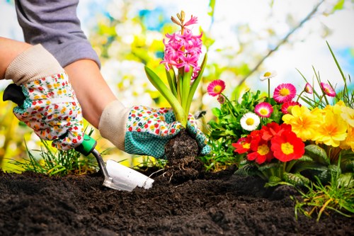 Supervised gardening activity with focus on hazard control