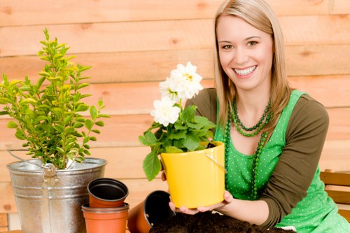 Garden planning for landscape gardening in Little Ilford