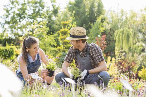 Professional garden clearance tools and debris removal in Little Ilford