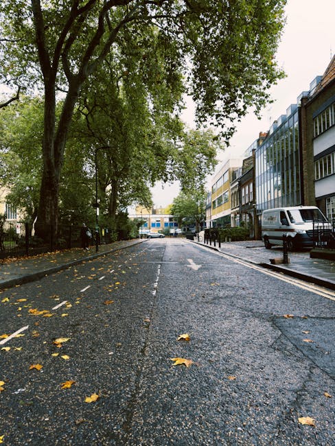 A paved urban street lined with a mix of modern and traditional multi-storey buildings on the right, featuring large windows and balconies. On the left, a row of mature trees with dense green foliage